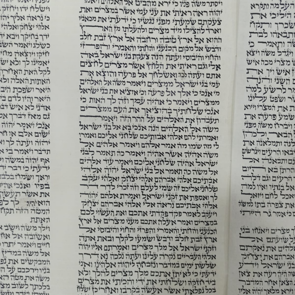 Sefer Torah Escrito a Mano