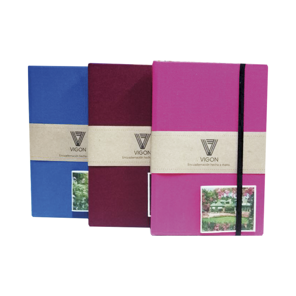 LIBRETAS VIGON